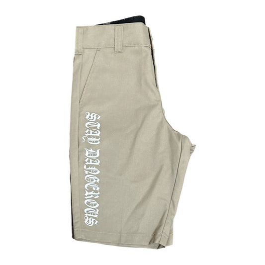 Stay Dangerous Dickies Shorts
