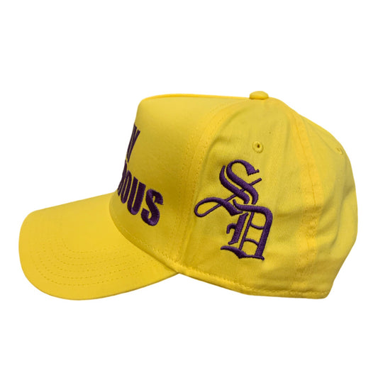 Stay Dangerous Hat